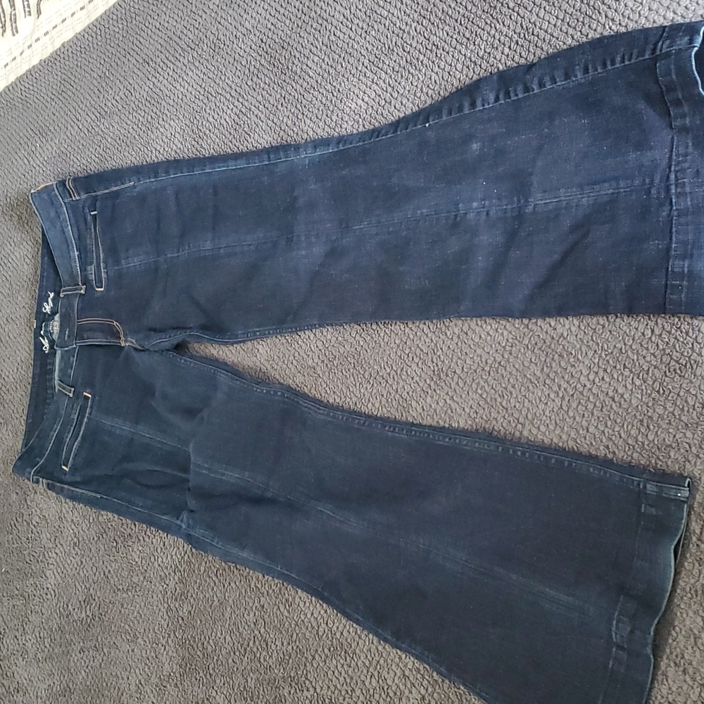 American Eagle Outfitters hipster wide leg jeans